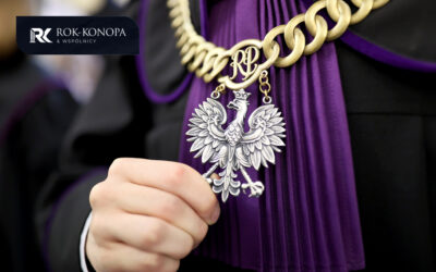 Ciężar dowodu w sporze z ubezpieczycielem: kto co musi udowodnić?